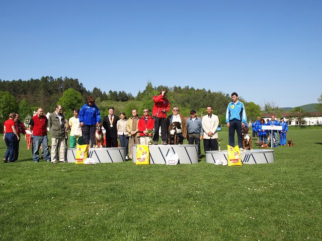 www.atibox.net * www.euroboxer.eu * www.boxergenealogia.eu